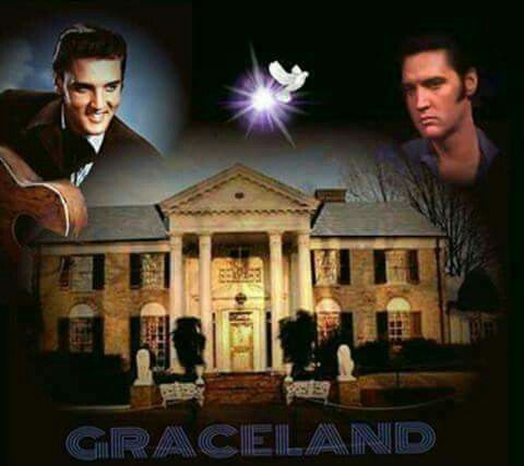 c7054e27a19ad50587f…