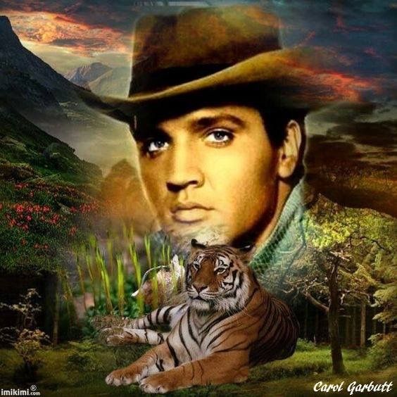 d0b702b81a372e91416…