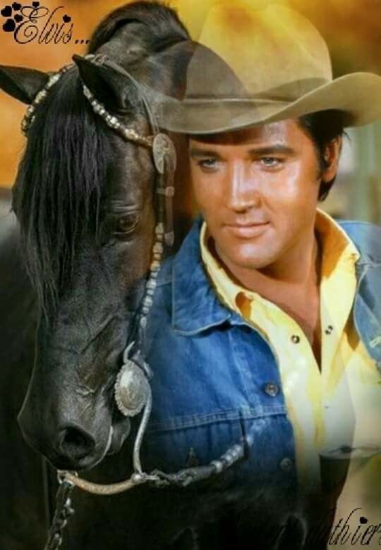 a331f0a0515a9a8ea30…